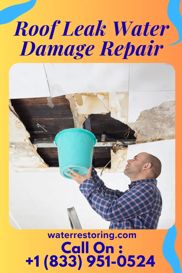 Roof Leak Water Damage Repair in Rodney, IA